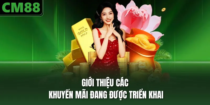 Giới thiệu các khuyến mãi đang được triển khai